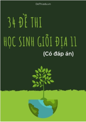 Bộ 34 Đề thi học sinh giỏi Địa 11 (Có đáp án)